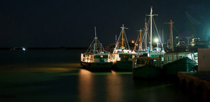 DSC_0058a.jpg
